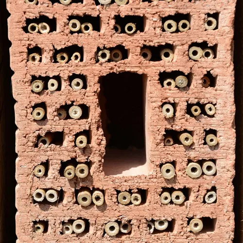 Miniatura 3 de 100 tubos de abeja de caña, tubos naturales de abeja, repuesto de tubo de abeja, tubos de casa de abejas masón, insertos de cartón, suministros