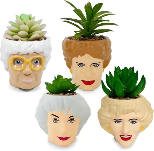 Toynk The Golden Girls Face - Mini maceta de cerámica con suculentas falsas | Juego de 4