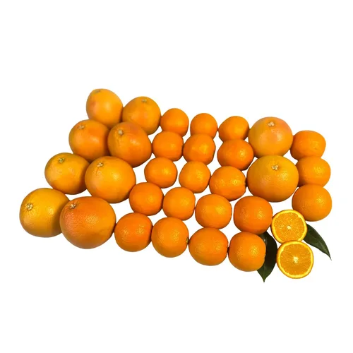 Miniatura 5 de Capital City Fruit Gourmet - Caja de regalo de fruta fresca Regalo para vacaciones, agradecimiento, mejorate Caja de regalo de condolencias