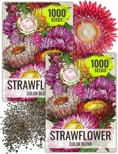 Seed Needs Semillas de fresa para plantar, semillas anuales de flores tradicionales y polinizadas abiertas. Cultiva una colorida mezcla de flores