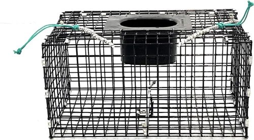 Ketcham Supply Trampa de cangrejo verde pequeña de malla de alambre recubierto de PVC
