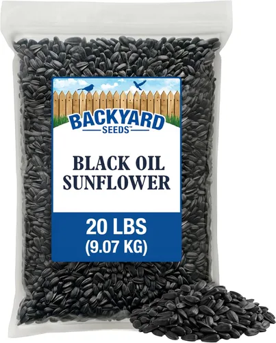Miniatura 8 de CountryMax Backyard Seeds Semillas de Girasol de Aceite Negro (10 libras)