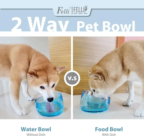Miniatura 2 de Felli Pet Oblik - Tazón de agua inclinado para comida para perros, plato ovalado de acero inoxidable, ergonómico, en ángulo, a prueba de derrames