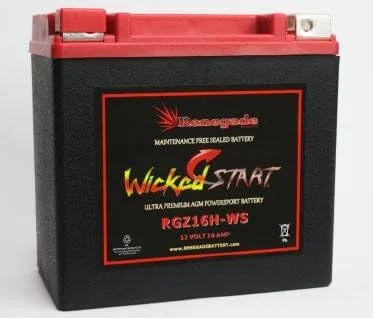RGZ16H-WS 350+ CCA's; batería de repuesto para Pioneer (2016, 2017, 2018, 2019, 2020, 2021, 2022, 2023, 2024) SXS1000M3 Pioneer 1000 / SXS1000M5