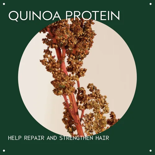 Miniatura 3 de Aveda Damage Remedy Restructuring Shampoo for Damaged Hair Repairs and Strengthens Damaged Hair with Quinoa Protein 92% Naturally Derived, 8.5