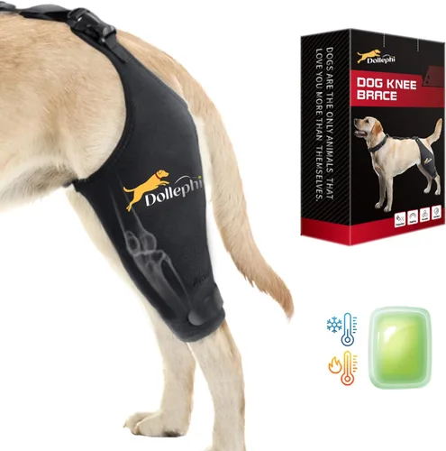 Miniatura 10 de Rodillera para perro para pierna trasera desgarrada del ligamento cruzado anterior, compresión caliente/fría para luxación de rótula u