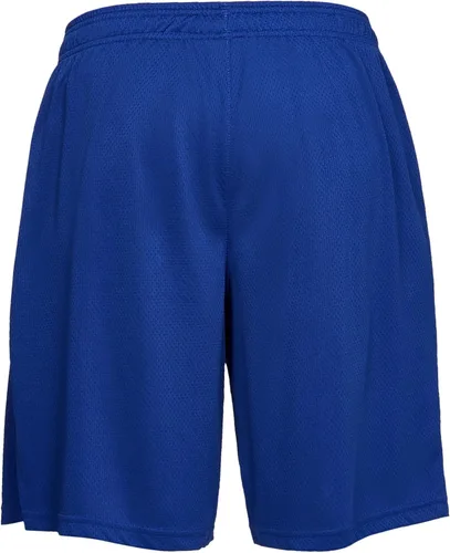 Miniatura 3 de Under Armour Pantalones cortos de malla Tech para hombre