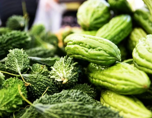 Miniatura 2 de 30 semillas largas de melón amargo – hasta 16 pulgadas de crecimiento rápido – Semillas de verduras tradicionales de calabaza amarga sin OMG