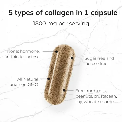Miniatura 6 de Péptidos de colágeno 5 en 1 de 1800 mg, 90 cápsulas - Tipo I, II, III, V, X - Suplementos de colágeno cápsulas para mujeres y hombres - Proteína