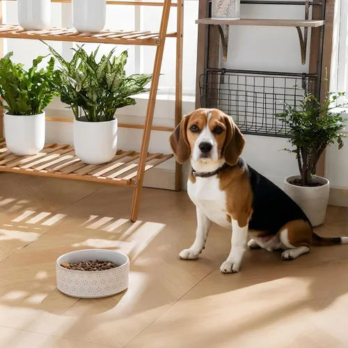 Miniatura 6 de Taza de comida para perros de cerámica MALACASA, 3.5 tazas o 32oz de plato de agua para comida de perro para razas medianas, taza para mascotas apta