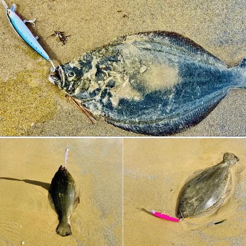 Miniatura 7 de LITTMA Señuelos de pesca de surf de California Señuelos de pesca de agua salada Jerkbait Crankbait Surf Minnow 110 - Sardina metálica Super Glow