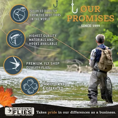 Miniatura 2 de Moscas terrestres de pesca con mosca seca – Kit de pesca con caja de moscas y 12 moscas secas para pesca de truchas – Equipo de pesca con mosca