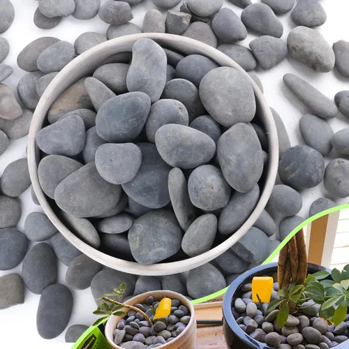 Miniatura 8 de Piedras de río de 2.4 libras para plantas y suculentas, paisajismo decorativo al aire libre y rocas de jardín de acuarios
