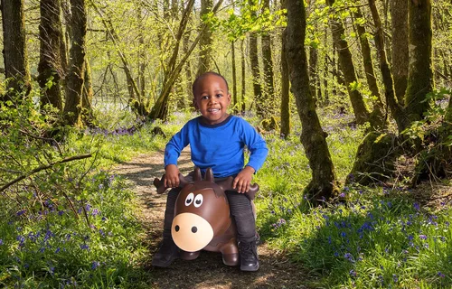 Miniatura 2 de Farm Hoppers Wildlife Hopper Inflable Niño Seguro Bouncing Moose Plus Pump