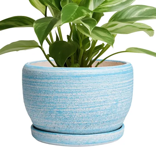 Miniatura 32 de SQOWL Macetas de cerámica – Maceta de 6 pulgadas con orificio de drenaje y bandeja, maceta redonda para plantas de interior, maceta decorativa