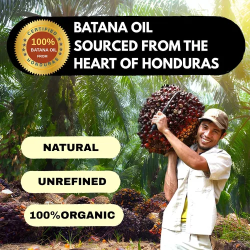 Miniatura 2 de Aceite de batana crudo 100% sin refinar para el crecimiento del cabello, Dr. Sebi, orgánico de Honduras, aceite de botana promueve el crecimiento