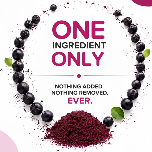 Miniatura 3 de Polvo de bayas de Aronia natural, superalimento de chokeberry negro, alto en antocianinas y polifenoles, apoya el sistema inmunológico