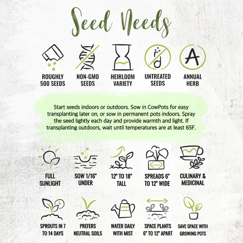 Miniatura 8 de Seed Needs Semillas saladas de verano para plantar hierbas tradicionales sin OMG, 1 paquete