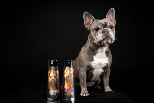 Miniatura 4 de Kit de champú hidratante prémium para perros y gatos + máscara – Henna y aceites naturales para un pelaje brillante y sin enredos – Juego de 12.5 oz