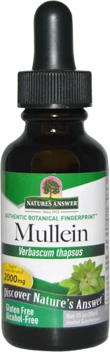 Nature's Answer Mullein Herb - Extracto de hoja de gordolobo para pulmones - Sin alcohol, sin OGM, fabricado en Estados Unidos - Apoya la función