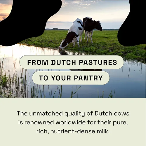 Miniatura 4 de MOOVE Polvo de calostro bovino sin sabor, vacas holandesas alimentadas con pasto, apoyo inmunológico e intestinal, proteína natural, superalimento