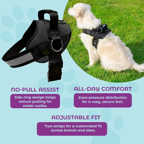 Miniatura 5 de Joyride Basic Essential Dog Harness 1.0 - Perros pequeños, medianos y grandes, chaleco para mascotas sin tirones con 3 anillos laterales