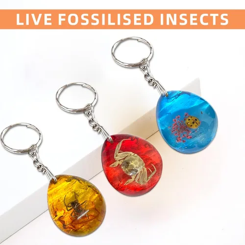 Miniatura 4 de 8 piezas de fósiles de ámbar con insectos, colgantes de fósiles de ámbar BOSOIRSOU, diferentes especímenes de insectos, insectos preservados