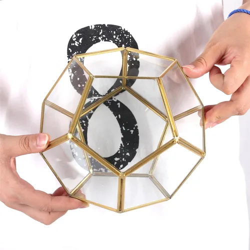 Miniatura 4 de Terrario geométrico de vidrio en dodecaedro y pentágono transparente, con planta suculenta para terrario, Geométrico, Transparente