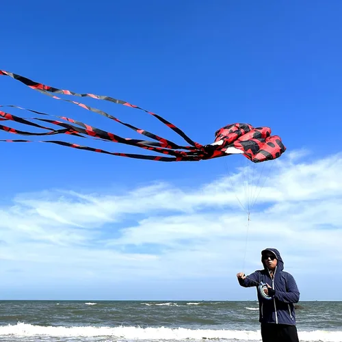 Miniatura 2 de Mint's Colorful Life Octopus Kite for Kids and Adults, Large 3D Software Octopus Kites with Long Tails, Huge Easy Flyer Kites for Beach Trip Family