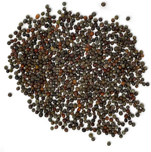 Miniatura 3 de Semillas de brócoli puramente orgánicas (Waltham 29) – Aproximadamente 750 semillas – USDA Orgánico, sin OGM, polinización abierta, herencia, origen