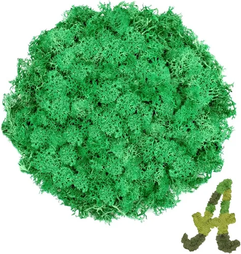 Miniatura 12 de Musgo de reno amarillo preservado de 3.5 onzas para plantas en maceta, decoración artesanal para arte de pared, musgo falso para decoración