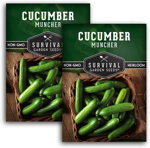 Miniatura 11 de Semillas de pepino Muncher para plantar Variedad sin eructos con piel suave para bocadillos o rebanadas – Semillas de jardín de supervivencia