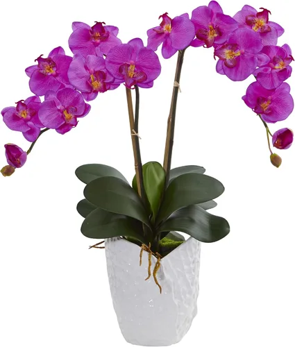Miniatura 2 de Nearly Natural Arreglo artificial de doble orquídea Phalaenopsis orquídea blanca de cerámica, color rosa oscuro