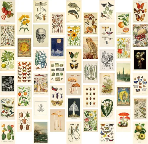 SAISHUO Kit de collage de pared, 50 piezas de papel de póster de decoración de pared con adhesivo sin rastro, no repetido, colección vintage,