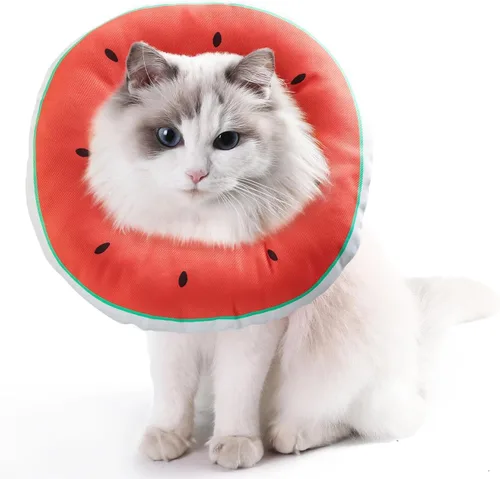 Miniatura 7 de Conos para Gatitos Después de Cirugía 0-6 Meses, Collar de Cono Donut Extra Pequeño para Gatito Suave para Evitar Lamerse el Cuello, Collar