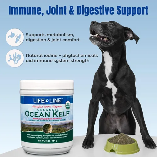 Miniatura 4 de Life Line Algas Marinas Oceánicas Orgánicas Certificadas por USDA para Mascotas y Ganado Apoya la Salud de la Piel y el Pelaje, la Función