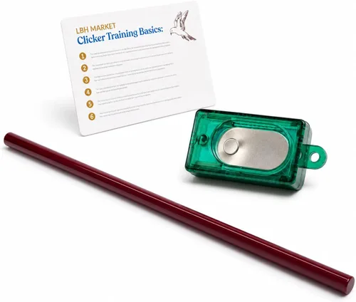 LBH MARKET Kit de entrenamiento de clicker de aves con palo de objetivo, palo de entrenamiento de aves acrílico de 9 pulgadas y caja de clicker para