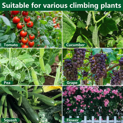 Miniatura 5 de codree Enrejado de pepino de jardín para plantas, 47 x 47 pulgadas, enrejado de melón de arco de metal para cama elevada, enrejado plegable