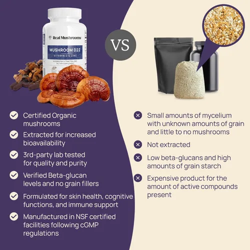 Miniatura 9 de Real Mushrooms Paquete de vitamina D2, zinc, chaga, reishi (120 unidades) y Cordyceps-M (120 unidades) – Apoyo inmunológico natural, energía
