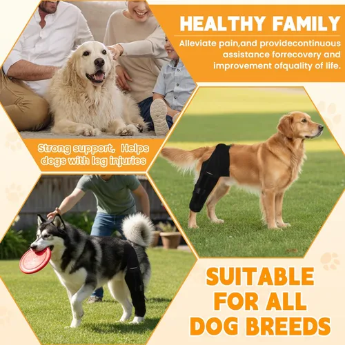 Miniatura 6 de Rodillera para perro para desgarro del ligamento cruzado anterior, soporte ajustable y transpirable para pierna trasera, material duradero para una