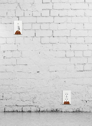 Miniatura 4 de WIRESTER Placa de pared dúplex con cubierta de salida / placa de interruptor - perro cachorro caniche de juguete marrón