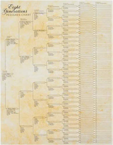 Miniatura 8 de Okuna Outpost Gráficos de árbol genealógico para rellenar – 8 gráficos de genealogía de generación con 255 espacios de nombres – Póster de árbol