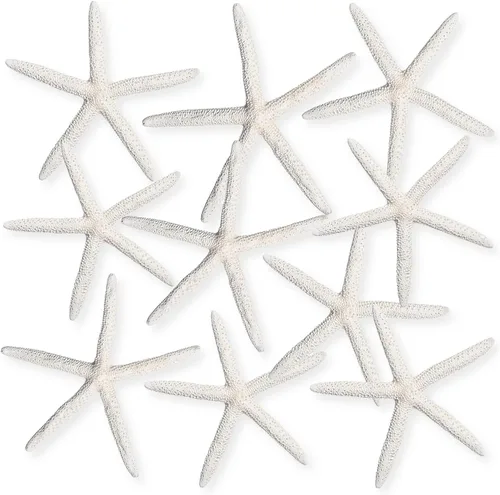 Miniatura 7 de Nautical Crush Trading Decoración de estrella de mar – Peces de estrella para manualidades – Paquete de 10 estrellas reales de mar blanco de 6-8