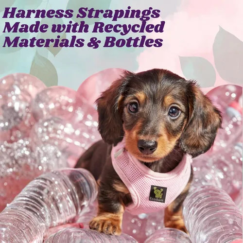 Miniatura 2 de EcoBark Step in Arnés para Perros - Arnés Halter Ecológico para Perros de Raza XS, Pequeña y Mediana - Malla Suave y Lujosa - Reflectante