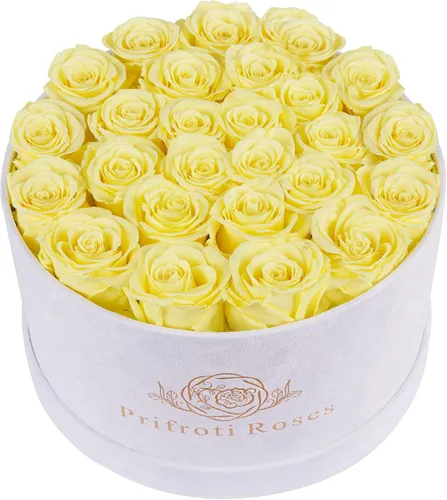 Miniatura 36 de Prifroti 17 flores en una caja de gamuza de lujo, regalos de cumpleaños para mujeres, flores preservadas, regalo de rosas para el día de la madre