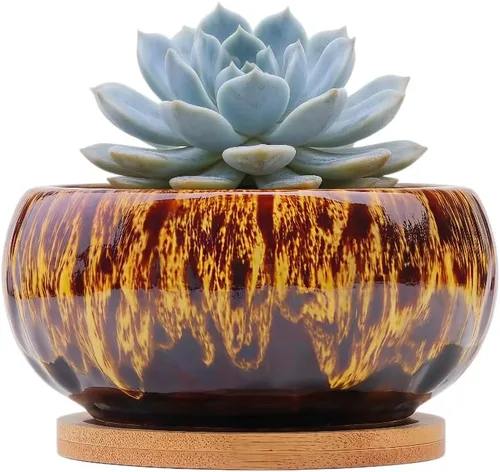 Miniatura 52 de Bonita maceta circular de cerámica para decoración del hogar y jardín, suculentas, cactus, maceta no incluida (azul, 3.19 pulgadas)