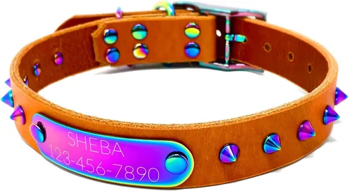 Miniatura 11 de Collar de perro de cuero con brida hecha a mano, grabado arco iris de acero inoxidable (negro)