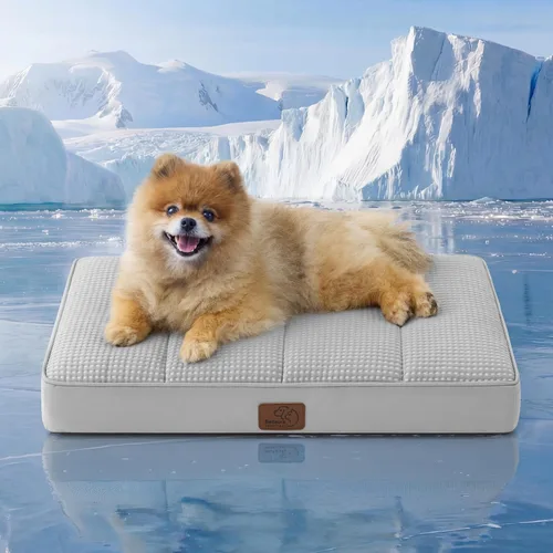 Miniatura 47 de Bedsure Camas para Perros Tamaño Grande - Cómodas Camas Planas para Mascotas con Funda Lavable Extraíble, Alfombrilla de Espuma Ortopédica