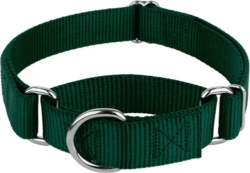 Country Brook Petz - Collar Martingale para perro - Collar de entrenamiento resistente sin hebilla - Collar para perros de servicio para todos los