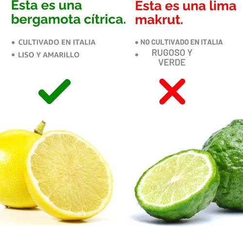 Miniatura 3 de BergaMet Suplemento de bergamota cítrica, extracto 170:1, 1200 mg por porción, 80% polifenoles, suplemento de bergamota cítrica italiana